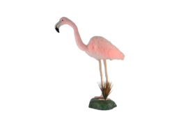 Mooie Animatronic Flamingo roze op rots 99 cm hoog kopen