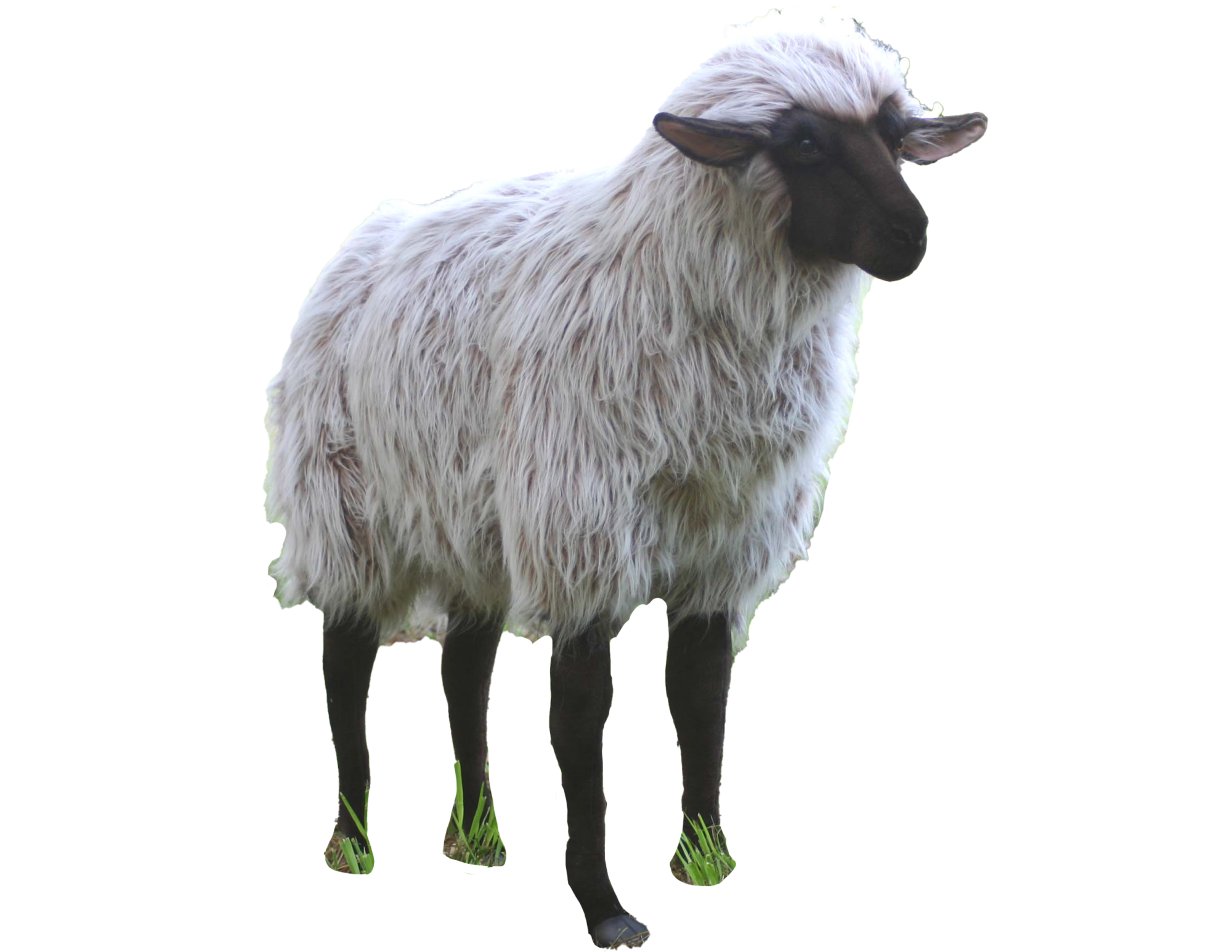 Animatronic Schaap op ware grootte, bruin, 105 cm lang Mooie Animatronic Schaap op ware grootte, bruin, 105 cm lang kopen