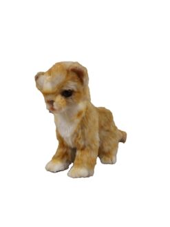 Mooie Roodbruine Kitten knuffel  20 cm kopen