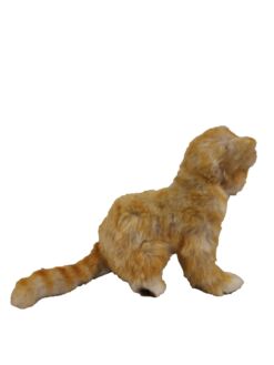 Mooie Roodbruine Kitten knuffel  20 cm kopen