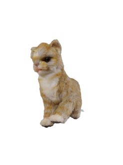Mooie Kitten knuffel  20 cm kopen