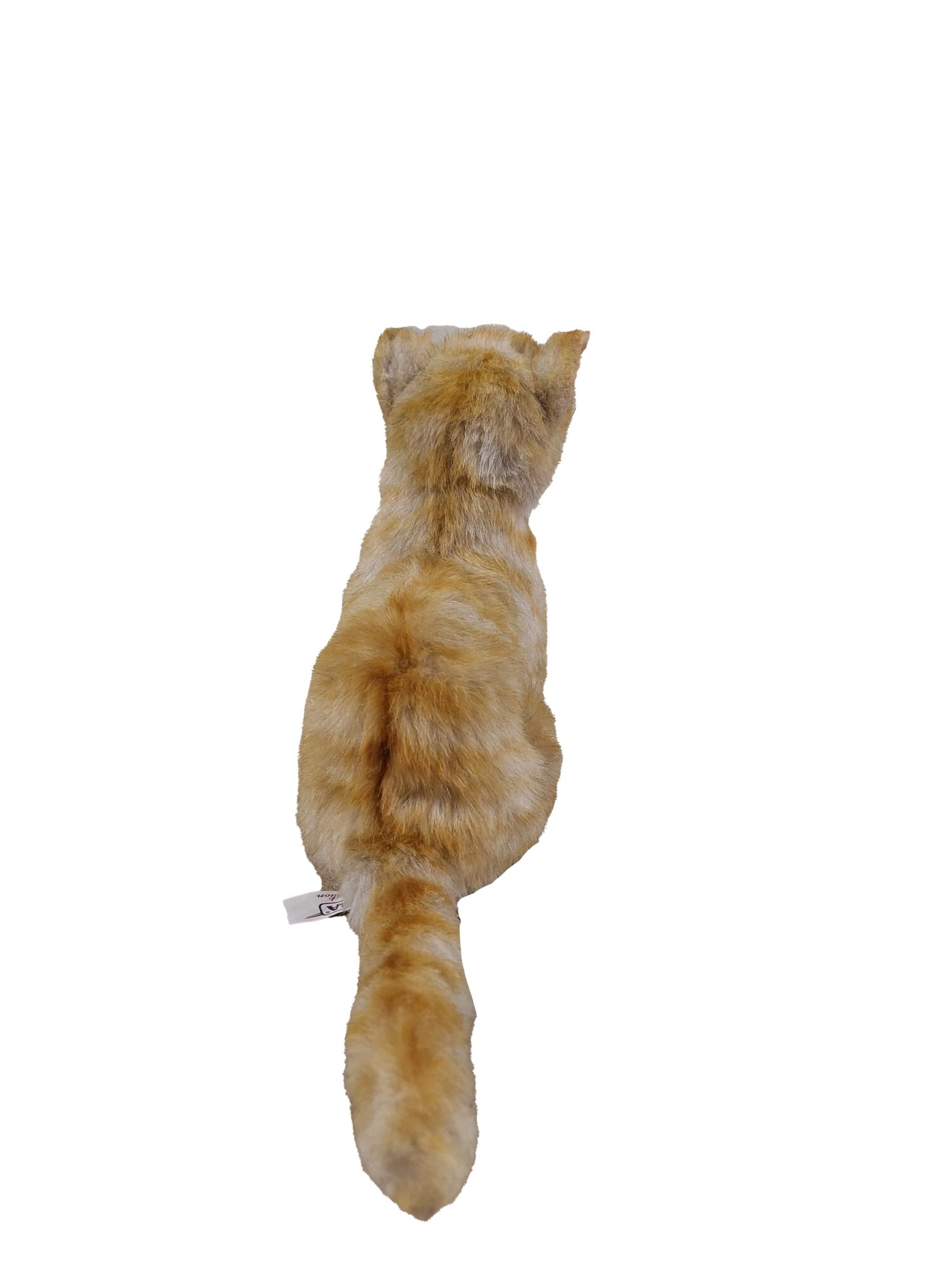 Kitten knuffel 20 cm Mooie Kitten knuffel 20 cm kopen
