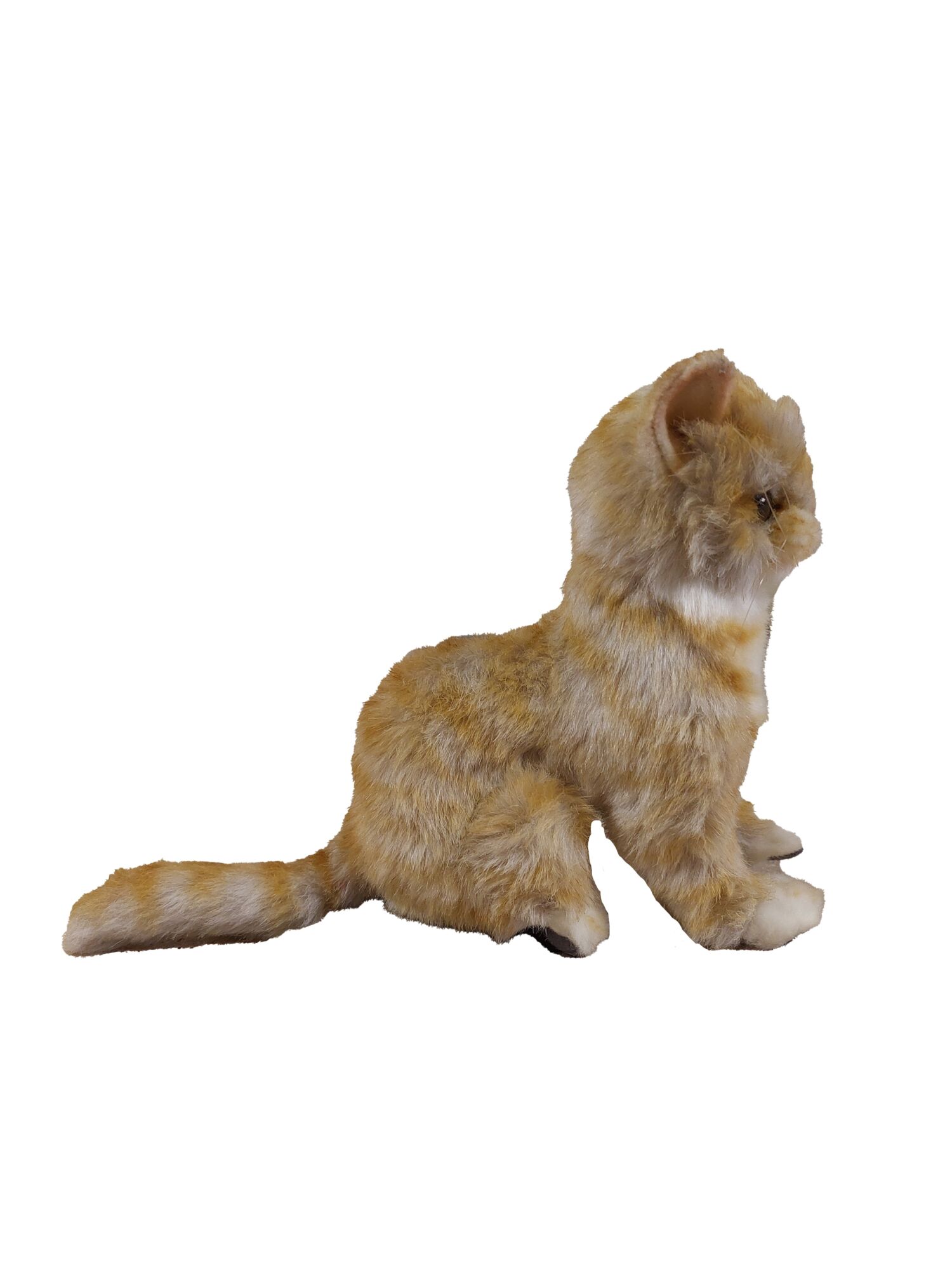 Kitten knuffel 20 cm Mooie Kitten knuffel 20 cm kopen