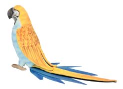 Mooie Papegaai (Blauw/Geel) 37cm H. kopen