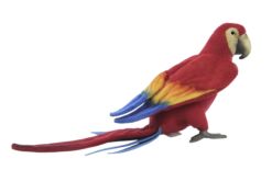 Mooie Rode Geelvleugelara 40cm L. kopen