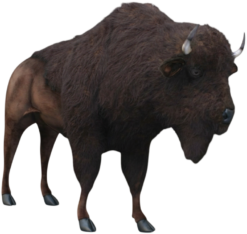 Mooie Animatronic amerikaanse Bizon kopen