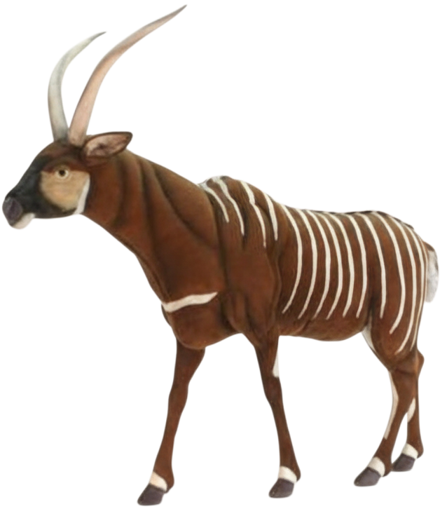 Animatronic Bongo Antilope Mooie Animatronic Bongo Antilope kopen