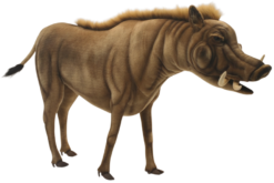 Mooie Animatronic Wrattenzwijn Mama kopen