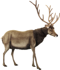 Mooie Animatronic Hert – 200 cm H. kopen