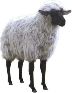 Mooie Animatronic Schaap – 105 cm Lengte kopen