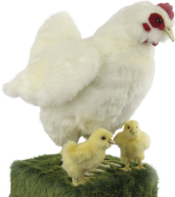 Mooie Animatronic Witte Kip met 2 Kuikens kopen