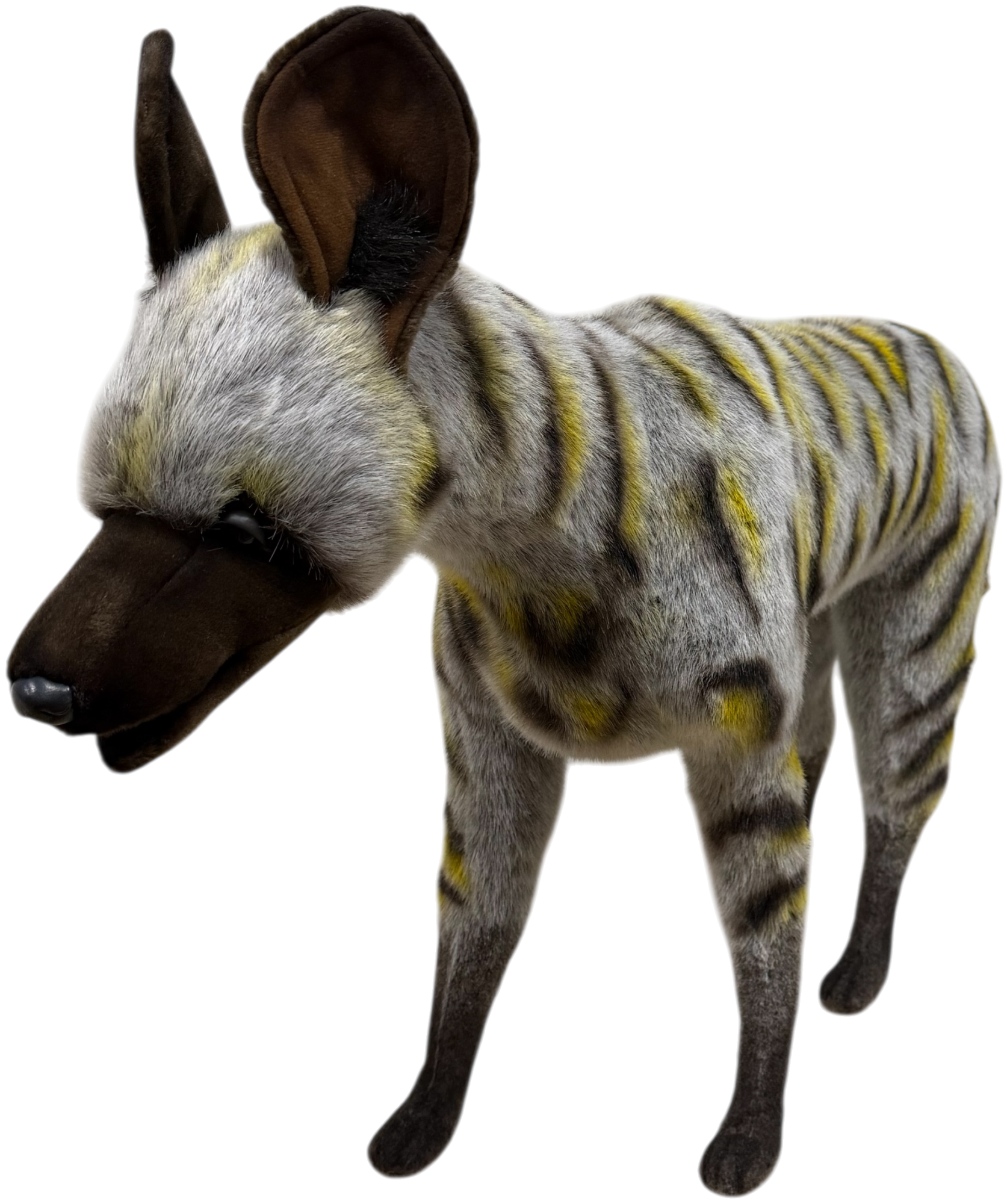 Animatronic Afrikaanse Wilde Hond - L 80cm Mooie Animatronic Afrikaanse Wilde Hond - L 80cm kopen