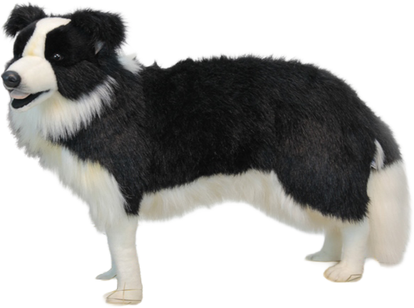 Animatronic Border Collie Staand – 84 cm L. Mooie Animatronic Border Collie Staand – 84 cm L. kopen