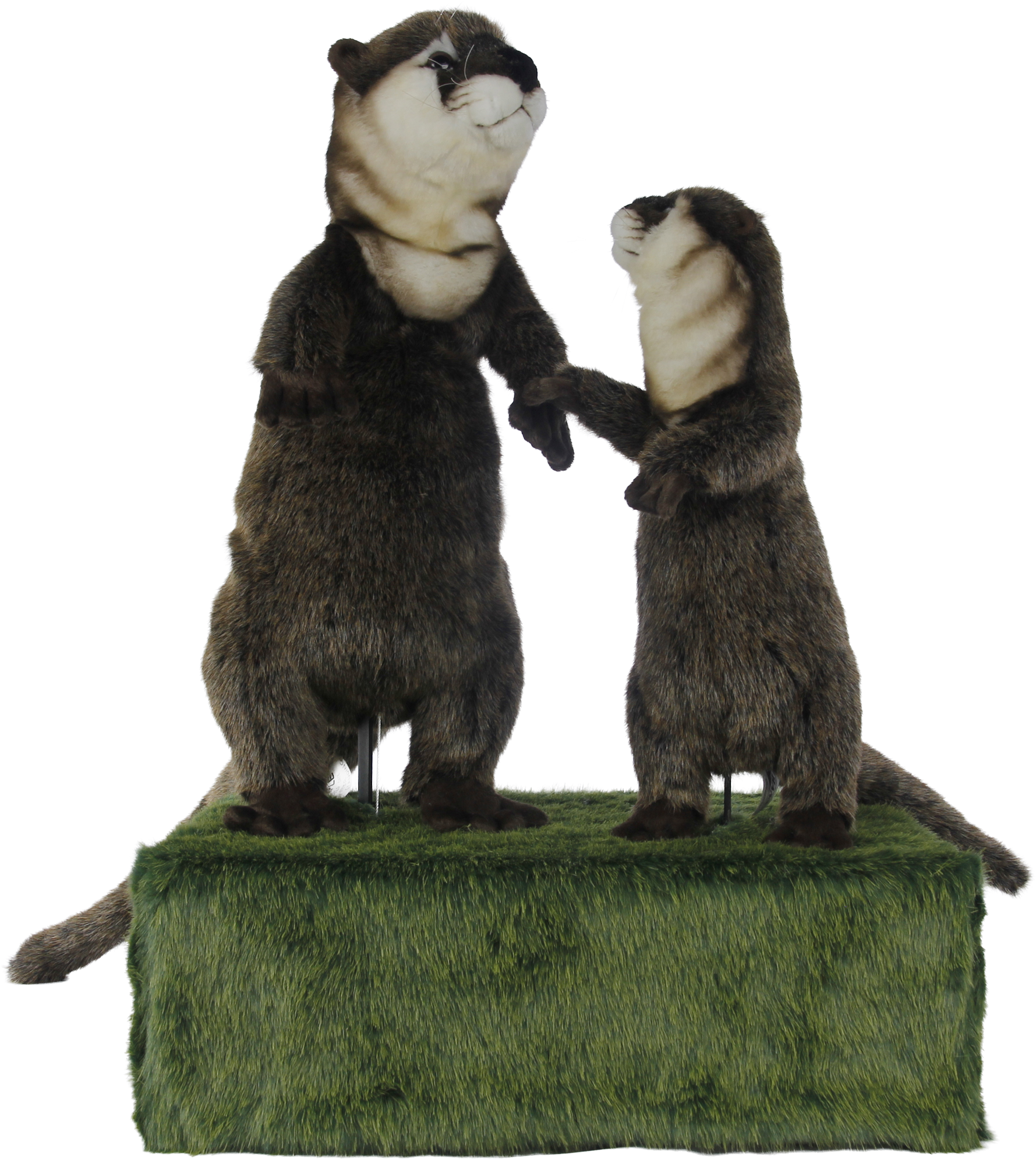 Animatronic 2 Staande Otters op Box Mooie Animatronic 2 Staande Otters op Box kopen