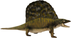 Mooie Animatronic Edaphosaurus – 230 cm L. kopen