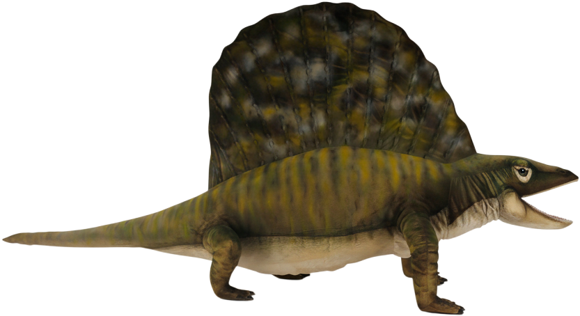 Animatronic Edaphosaurus – 230 cm L. Mooie Animatronic Edaphosaurus – 230 cm L. kopen
